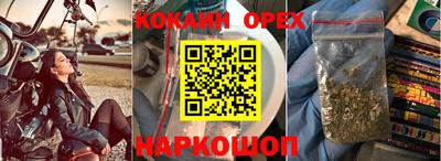 СК Будённовск