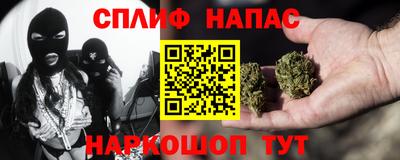 СК Будённовск