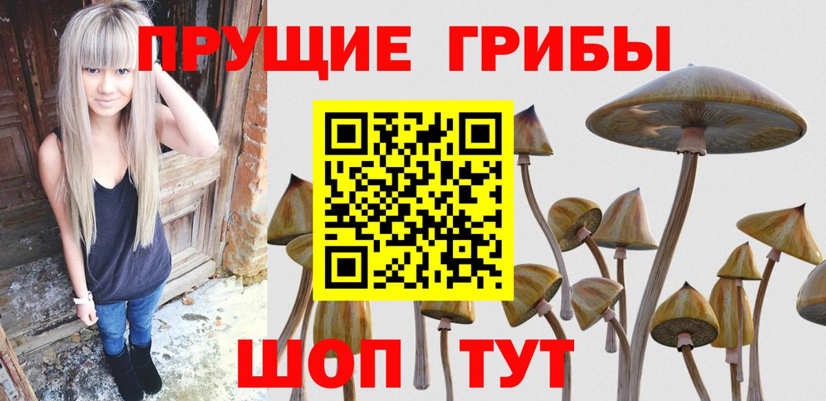 Галлюциногенные грибы GOLDEN TEACHER  Вход с VPN  Кулебаки 