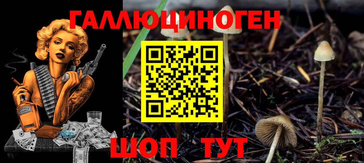 Кулебаки  ГАШИШ  Марихуана  Вход с VPN  ЭКСТАЗИ  Меф   Cocaine 