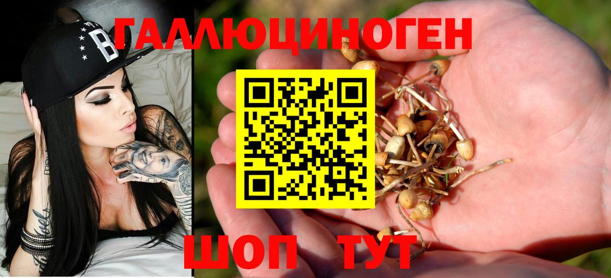 Галлюциногенные грибы GOLDEN TEACHER Кулебаки
